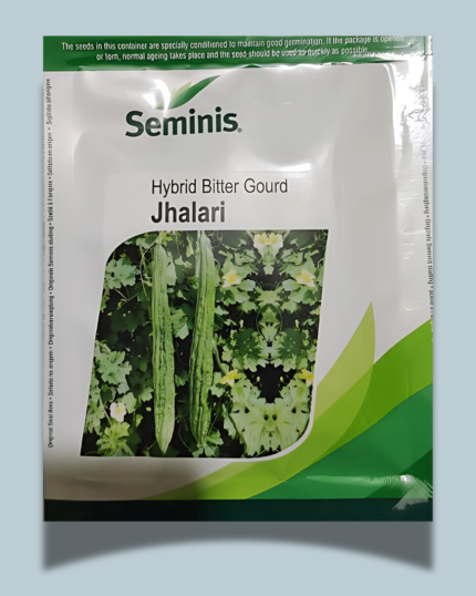 Seminis Jhalri bitter gourd
