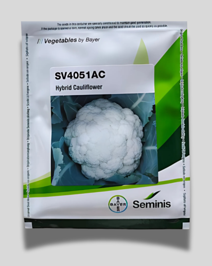 Seminis SV4051AC
