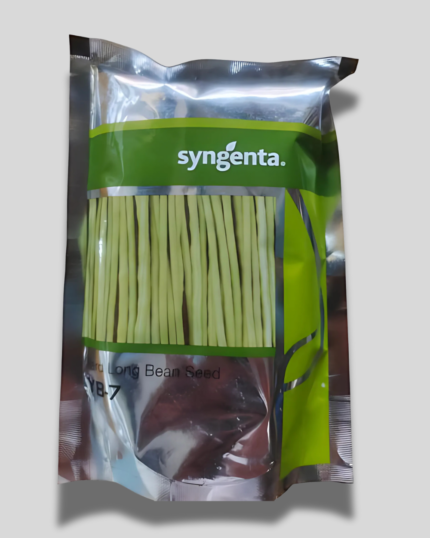 Syngenta YB 7