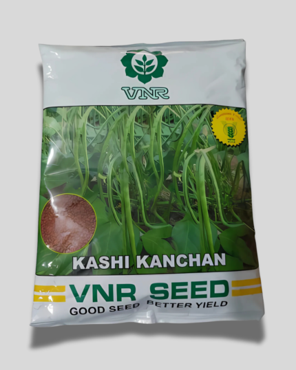 VNR Kashi Kanchan
