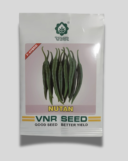 VNR NUTAN/ वीएनआर नूतन