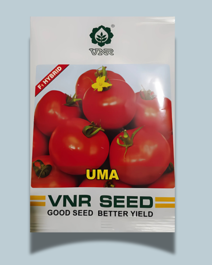 VNR Uma Tomato