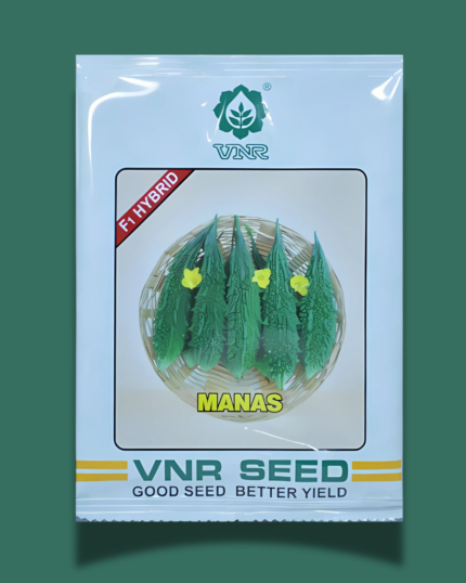Vnr Manas bitter gourd