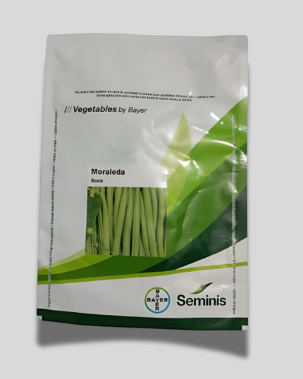 SEMINIS MORALEDA
