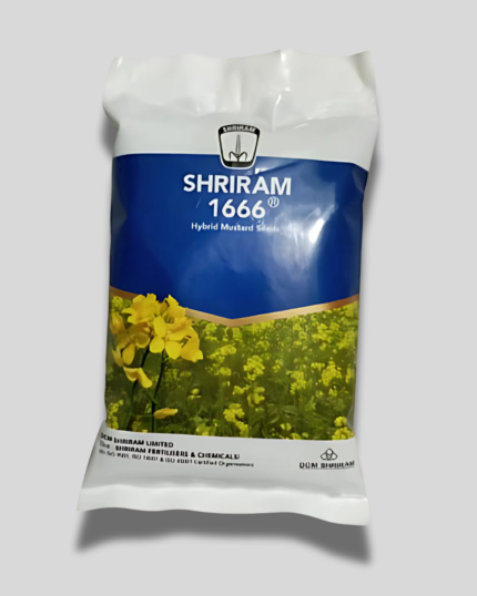SHRIRAM 1666