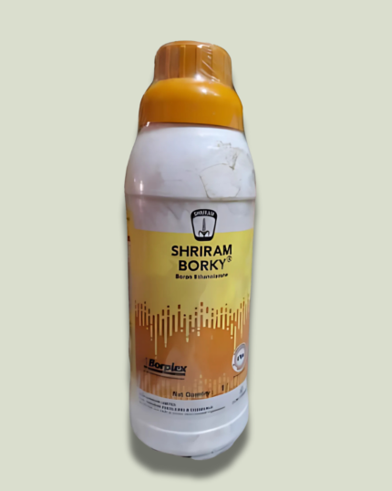 SHRIRAM BORKY