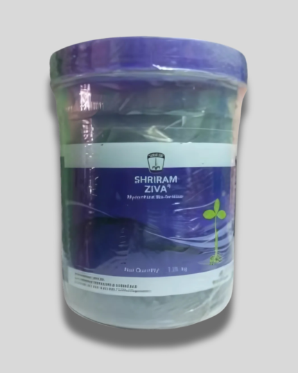 SHRIRAM ZIVA