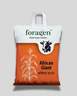 AFRICAN GIANT/अफ़्रीकन जायंट