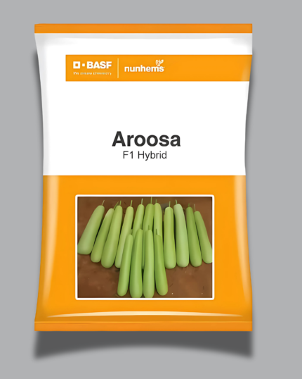 AROOSA/अरूसा