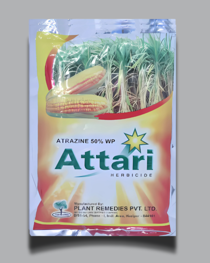 ATTARI/अटारी