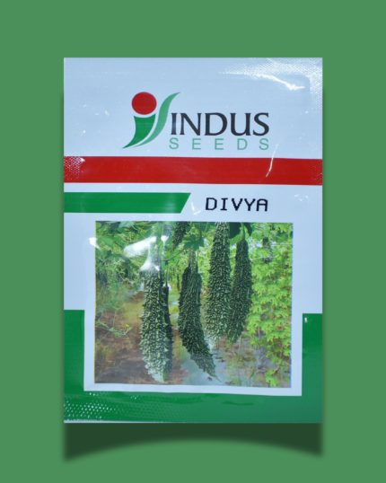 DIVYA BITTERGOURD
