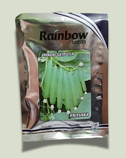 JHINGNI SATPUTIA/झिंगनी सतपुतिया