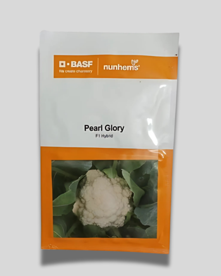 PEARL GLORY/ पर्ल ग्लोरी