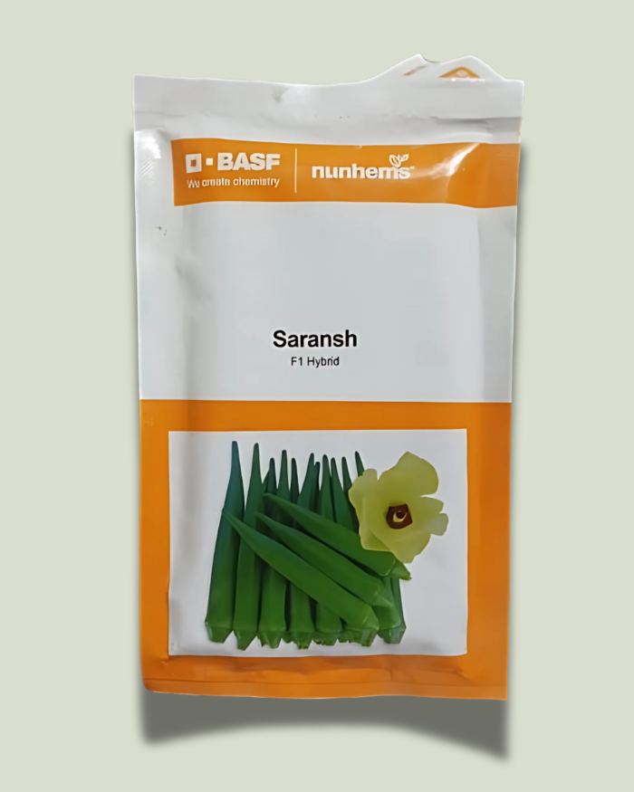 SARANSH/सारांश
