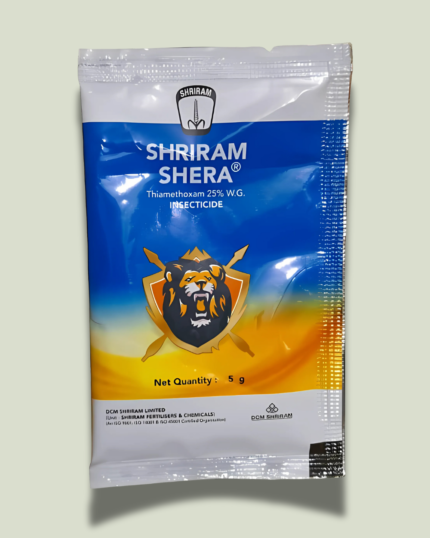 SHERA/शेरा