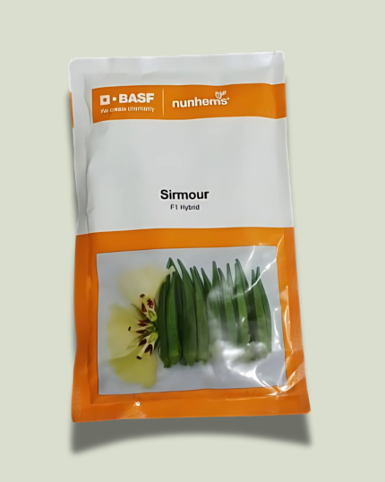 SIRMOUR/सिरमौर