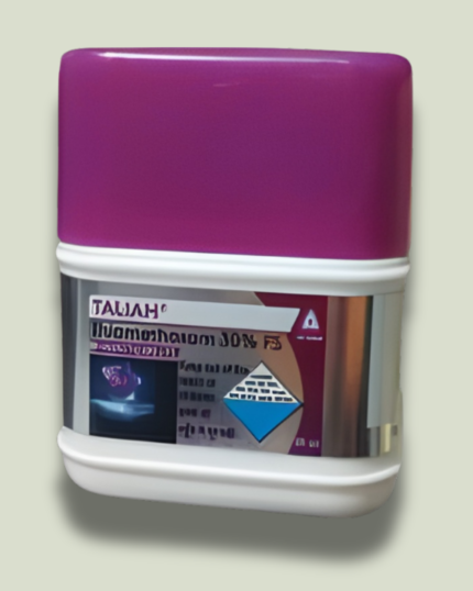 TALIAH/तालिया