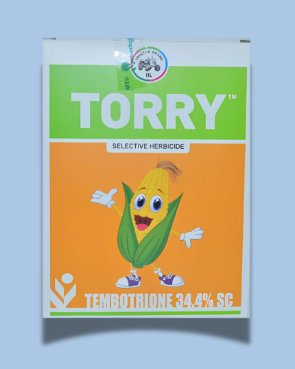 TORRY/टोरी