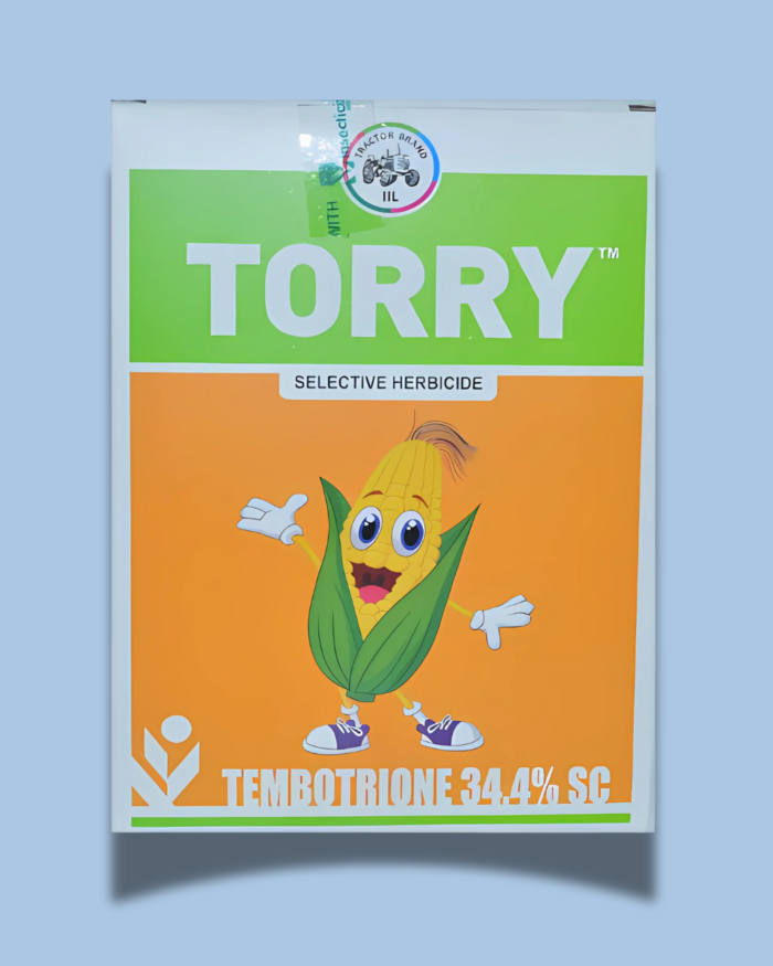 TORRY/टोरी
