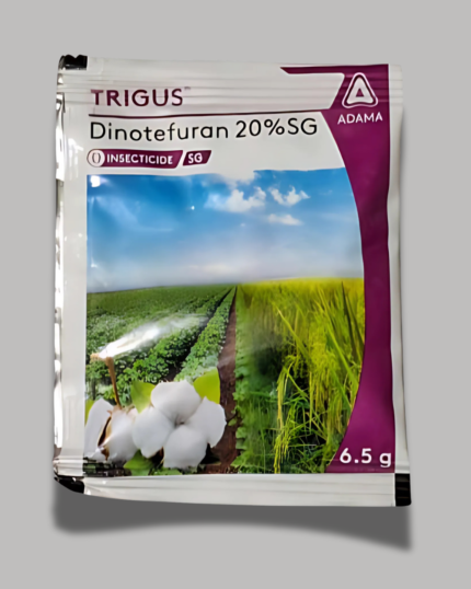 TRIGUS/ट्रिगस