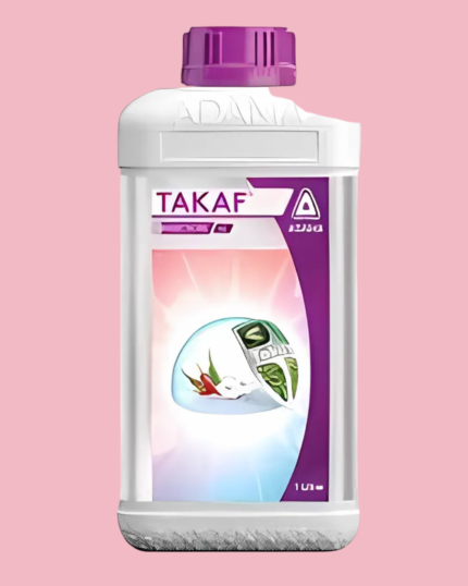 Takaf, तकाफ़