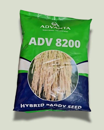 ADV 8200
