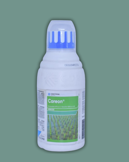 COREON/ कोरिओन