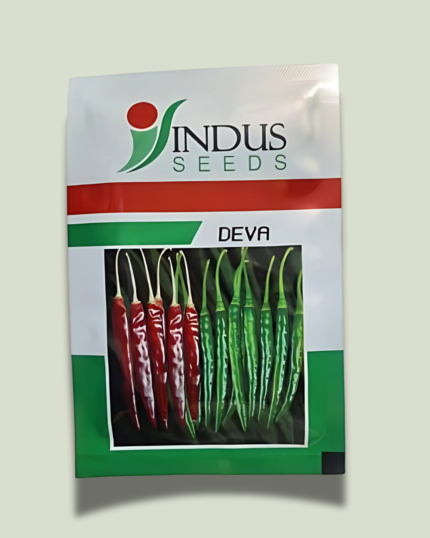 DEVA/देवा