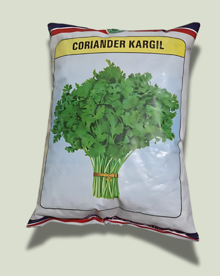 KARGIL/ कारगिल