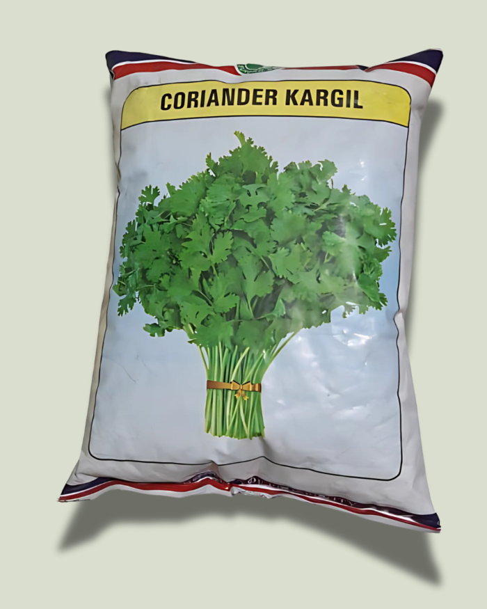 KARGIL/ कारगिल