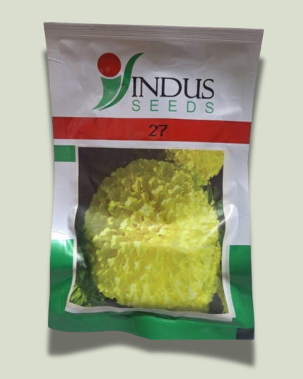 MARIGOLD 27