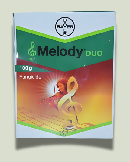 MELODY/मेलोडी