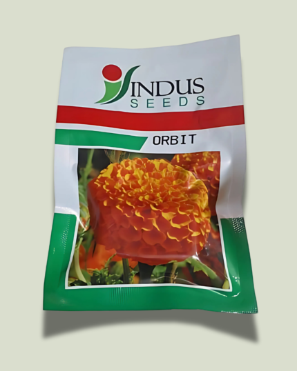 ORBIT/ऑर्बिट