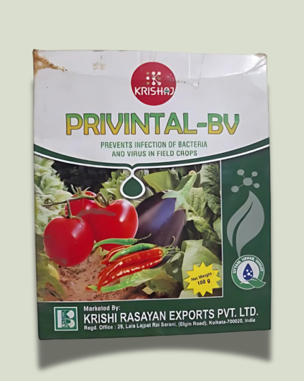PRIVINTAL-BV