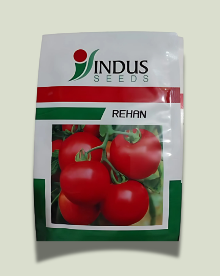 REHAN/रेहान