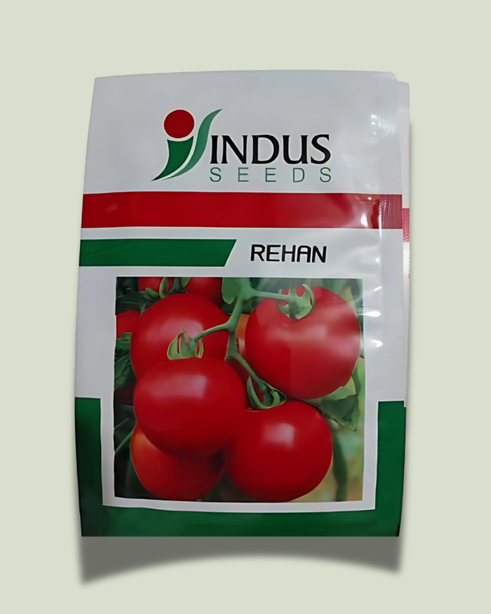 REHAN/रेहान