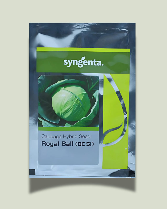 ROYAL BALL(BC 51)/रॉयल बॉल(बीसी 51)