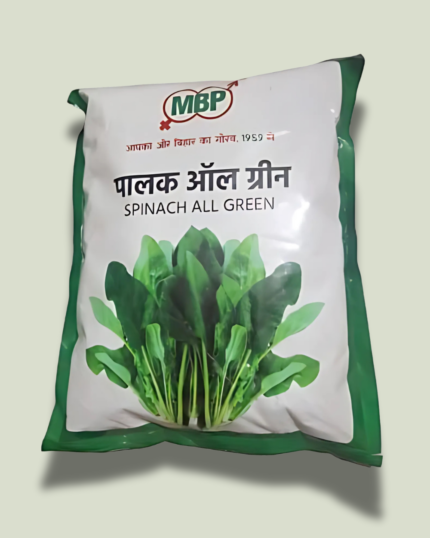SPINACH ALL GREEN/ पालक आल ग्रीन