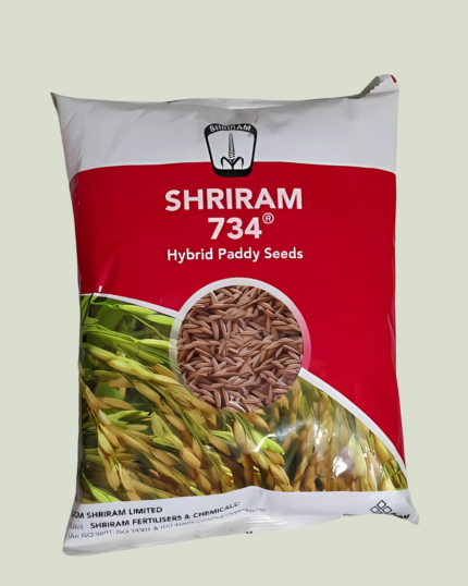 SRI RAM 734/ श्री राम 734