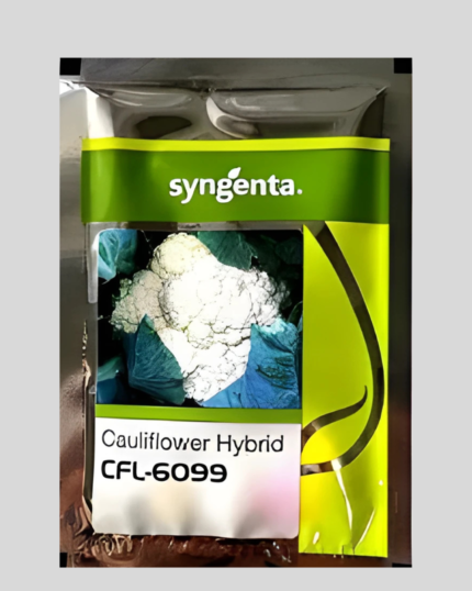 CFL-6099/सीएफएल-6099