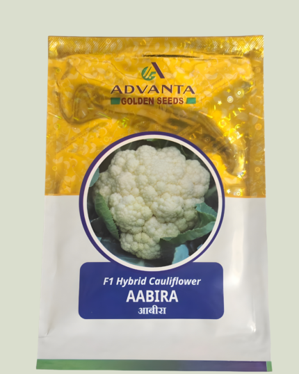 AABIRA/आबीरा