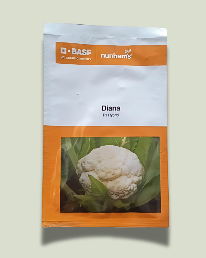DIANA/डायना
