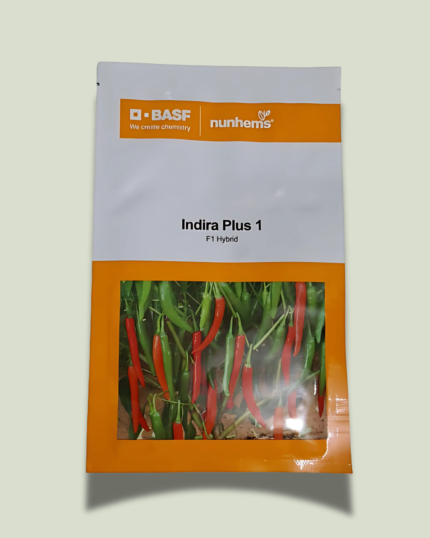 INDRA PLUS 1