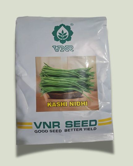 KASHI NIDHI/काशी निधि