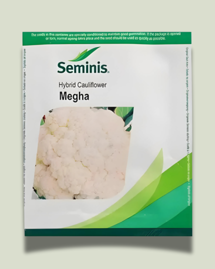 MEGHA/ मेघा