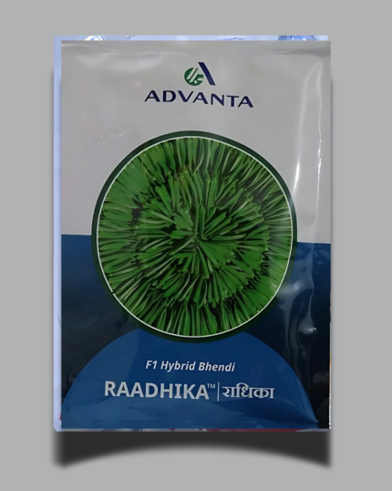 RAADHIKA/राधिका