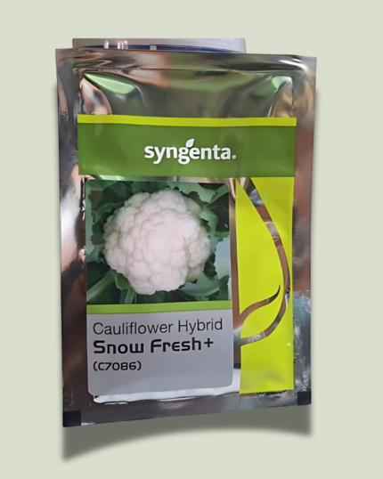 Snow Fresh plus