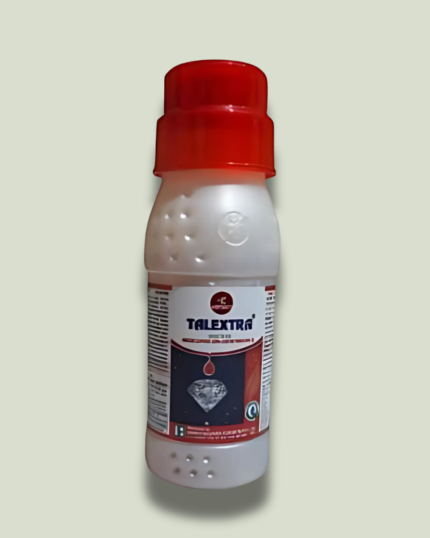 TALEXTRA/टैलेक्स्ट्रा
