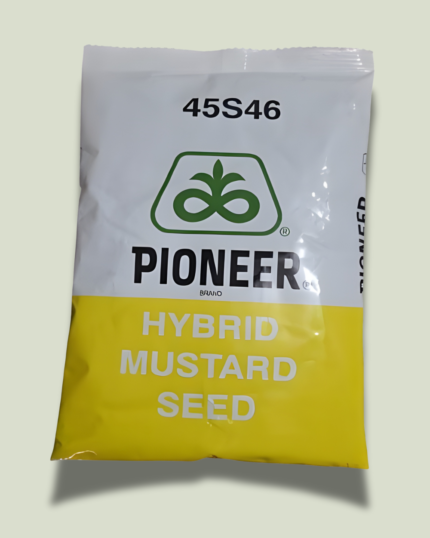 45S46