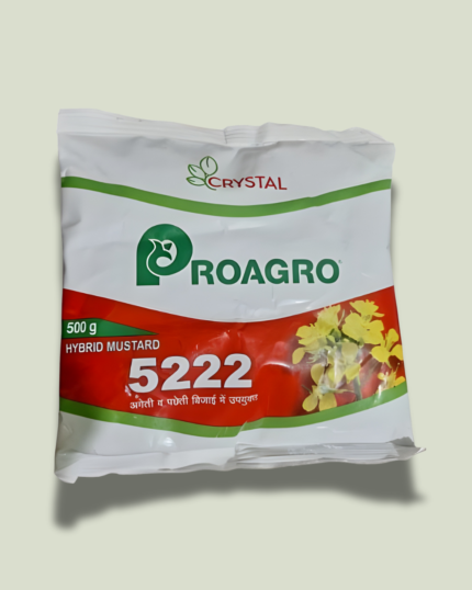 5222 (ROAGRO)